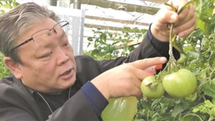 勞動者之歌 | 關慧明