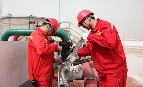 【“五小”創(chuàng)新有我在】激活“小細胞” 煥發(fā)大能量