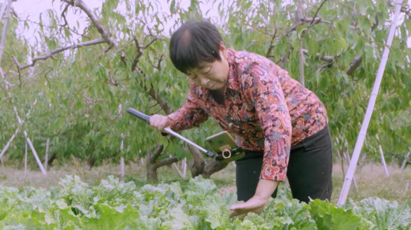 ׌�֙C(j��)�ɞ����r(n��ng)��