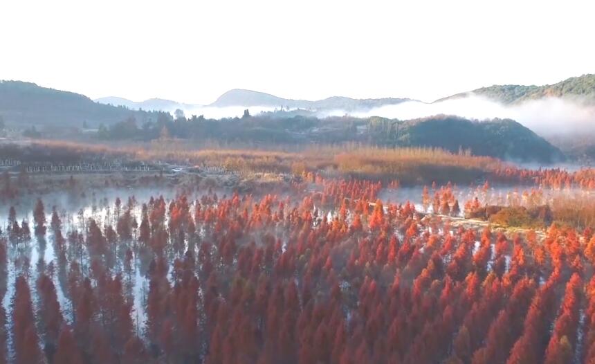 �Ҹ����E�e