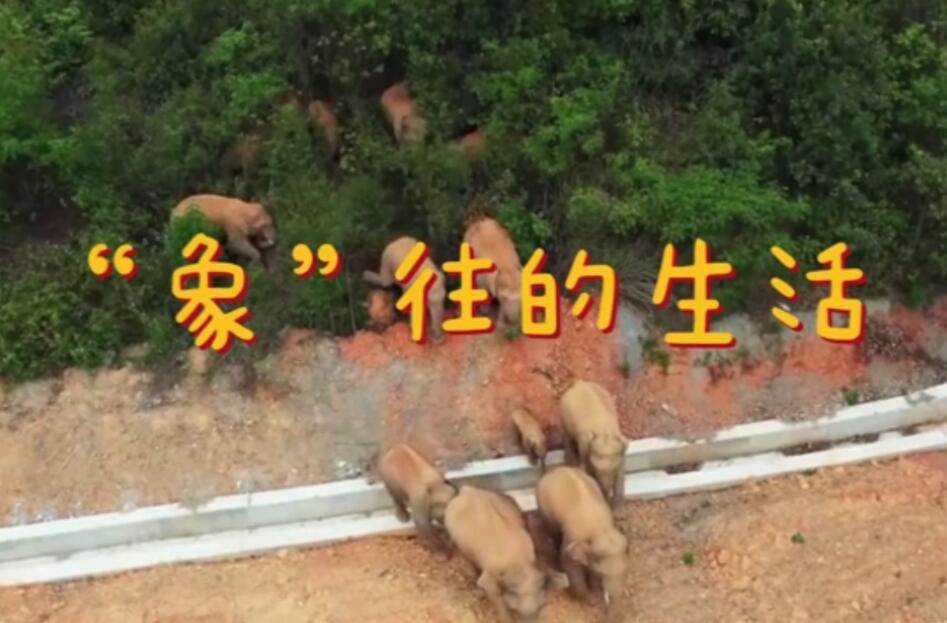 һ·���󡱱�������Ұ����Ⱥ���ă�����