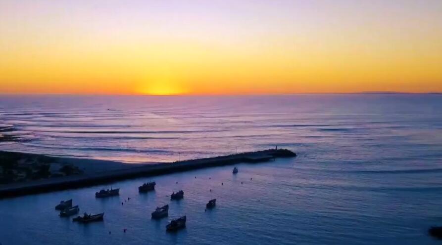 �Ƅ�(d��ng)�L(zh��ng)����(j��ng)��(j��)���Gɫ�l(f��)չ����