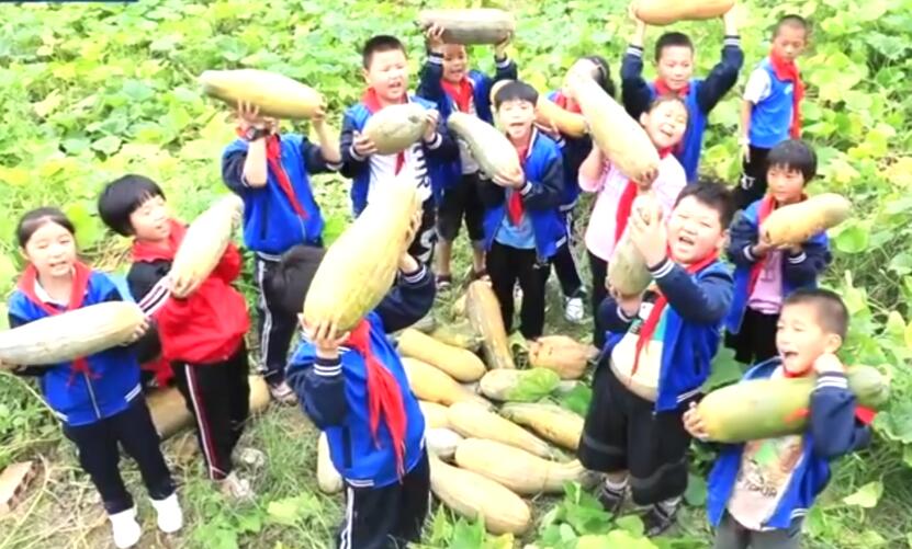 ���������±P������r��ԭ�����˄�(d��ng)��