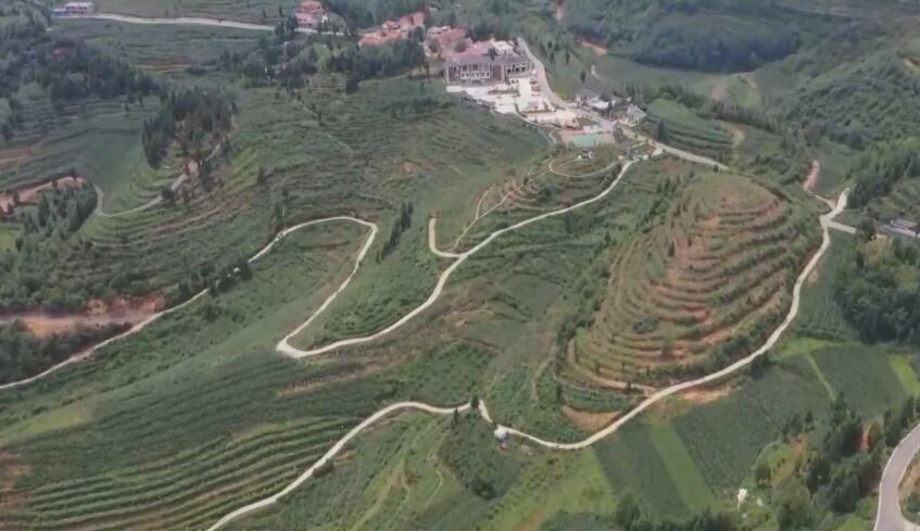 ��ɽ�����ˡ���Ƭ�Ҹ���