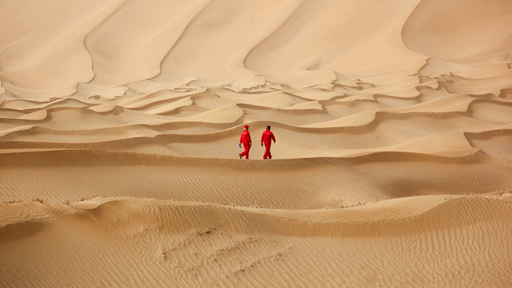 ��2021���M��38 ���رP�����İ�M