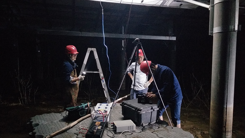 ��2021���M��83 �~���ϵ�׷����