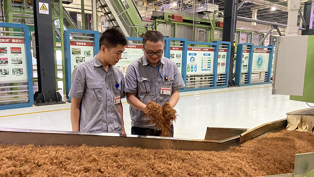 ��2021���M��88 ����C��M