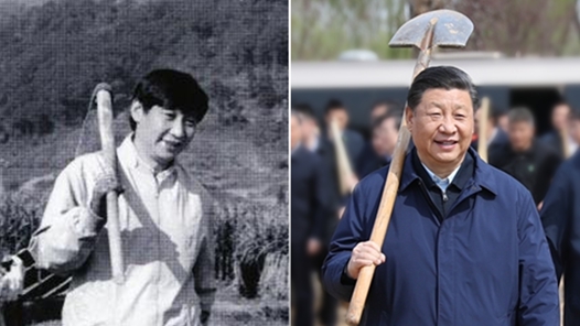 習(xí)近平的勞動(dòng)情懷