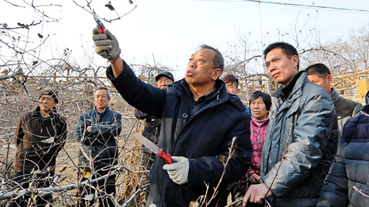 勞動(dòng)者之歌 | 李保國山區(qū)開發(fā)與林果產(chǎn)業(yè)創(chuàng)新團(tuán)隊(duì)