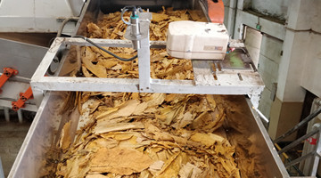 【“五小”創(chuàng)新有我在】復烤潤葉的“黃金搭檔”