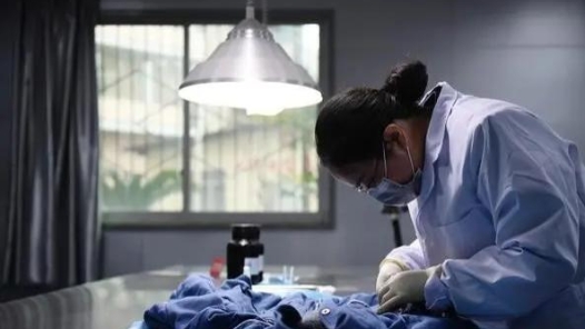 最美職工 | 楊發(fā)英