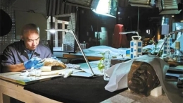 中國(guó)夢(mèng)·大國(guó)工匠篇 | 文物修復(fù)師馬宇：懷敬畏之心 讓秦俑重現(xiàn)千年風(fēng)采