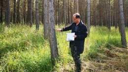 中國夢·大國工匠篇 | 35年青春獻給塞罕壩 他是百萬畝林海的守護者