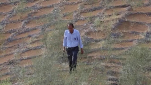 中國夢·大國工匠篇｜“沙漠守望者”唐希明：將漫漫黃沙變?yōu)榫G洲