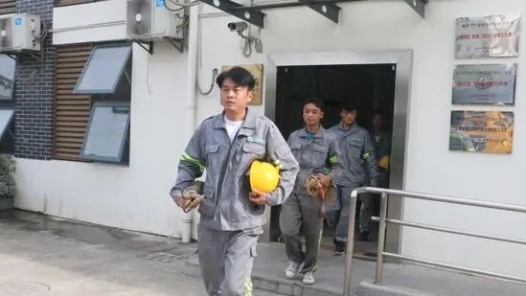 中國夢·大國工匠篇 ｜“城市理發(fā)師”楊飛飛：為了那5萬棵行道樹的風景