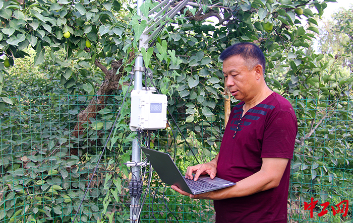 下載自動氣候工作站數(shù)據(jù)