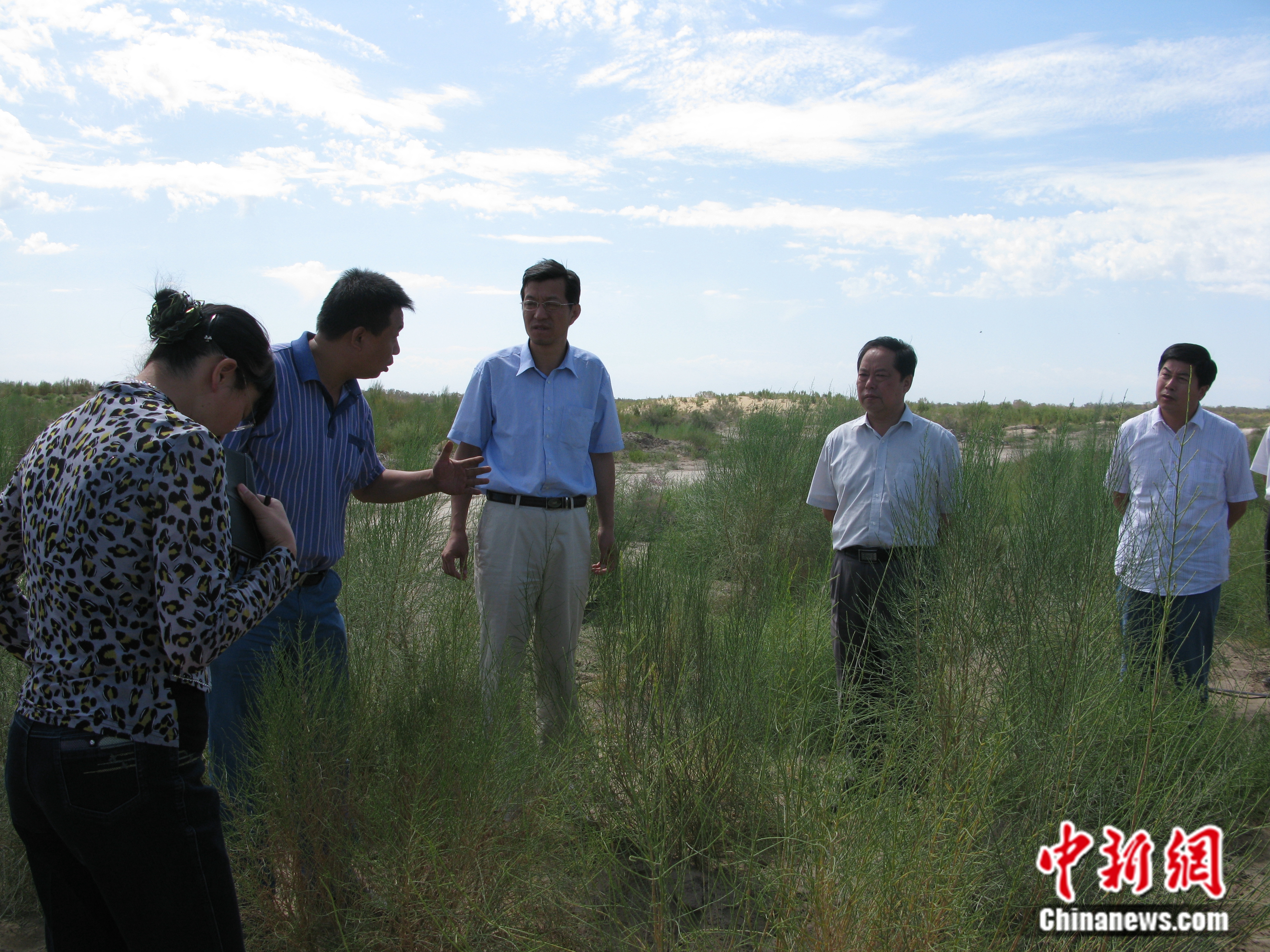 向?qū)＜覍W(xué)者介紹準(zhǔn)噶爾盆地南緣無灌溉造林技術(shù)特點(diǎn)。受訪者供圖