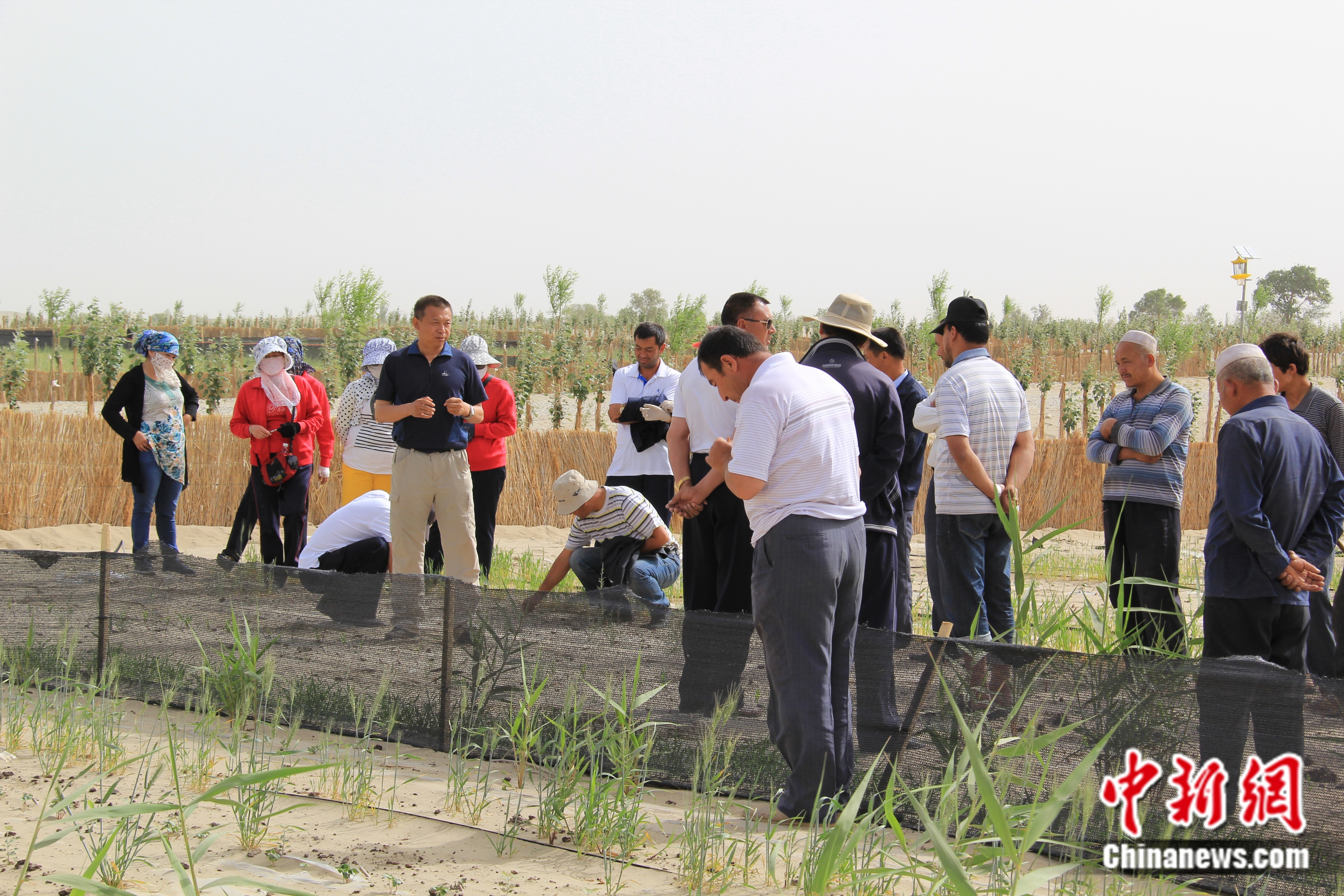 指導(dǎo)群眾造林固沙。受訪者供圖