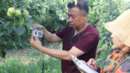中國夢·大國工匠篇 | 從一棵樹到一片林，他用三十余年守護(hù)沙漠綠洲
