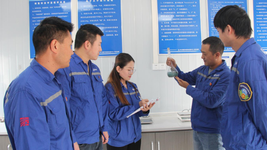 “五小”創(chuàng)新有我在 | 讓粉煤灰中的氨無處遁形