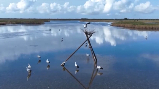 學(xué)習(xí)貫徹黨的二十屆四中全會精神｜建設(shè)美麗中國