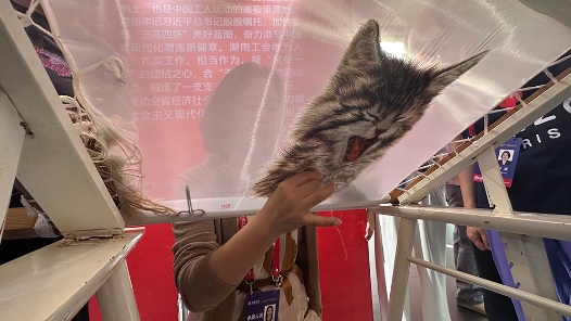 這里除了高精尖還有“土特產(chǎn)”