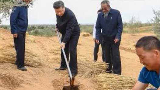 實(shí)干篤行｜勞動(dòng)本色 數(shù)十年未曾改變