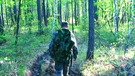 身邊榜樣丨火山口上的瞭望員：我用深情守望這片大森林的平安