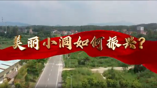 身邊榜樣丨黃國輝：振興生態(tài)小洞 建設(shè)美麗鄉(xiāng)村