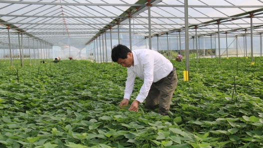 身邊榜樣丨勞?！拔⑿v”視頻——鐘俊杰