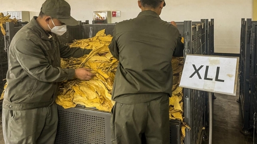 “五小”創(chuàng)新有我在｜標識“上色”，工業(yè)分級更精準