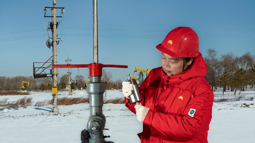 2021年大國(guó)工匠年度人物｜劉麗：油田里的大國(guó)工匠