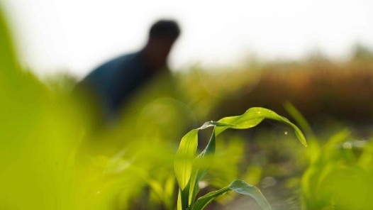 杭州余杭區(qū)良渚街道總工會促進(jìn)農(nóng)企互助、匠心共融