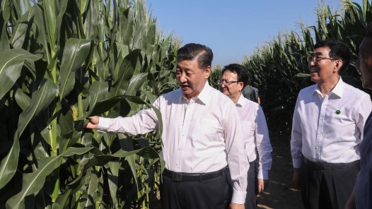 說(shuō)“聞”解字·手| 一雙手，感受總書記的勞動(dòng)本色