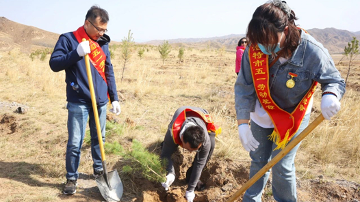 呼和浩特市總工會組織勞模開展義務(wù)植樹活動