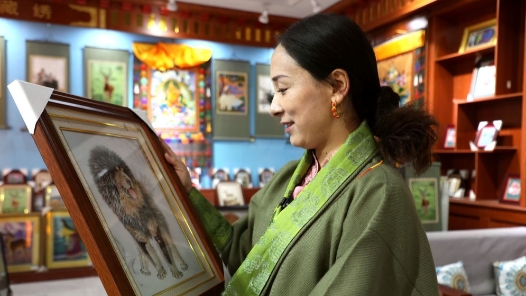 筑夢現(xiàn)代化 共繪新圖景·勞動者之歌｜拉毛葉忠：讓傳統(tǒng)藏繡走出高原