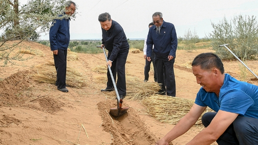 近觀 | 習(xí)近平心系勞動(dòng)者