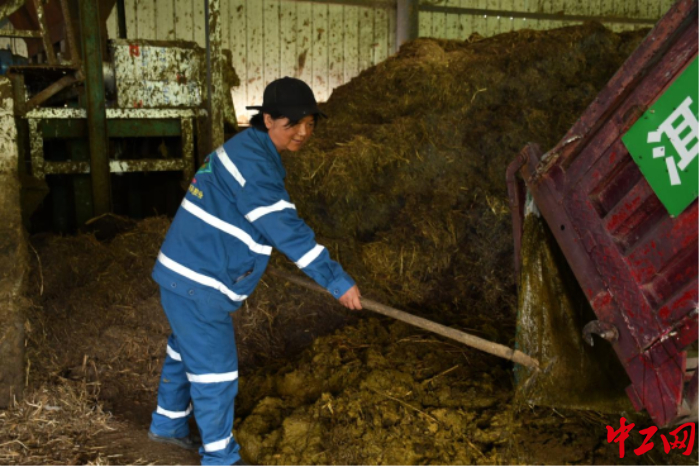李春喜在收集站將收集到的糞便“卸貨”。受訪者供圖