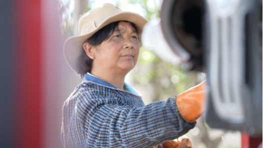 2024年最美職工｜“牛糞姐姐”李春喜：守護(hù)洱海源頭的碧海藍(lán)天