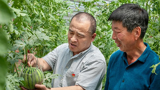 筑夢(mèng)現(xiàn)代化 共繪新圖景·最美職工｜守護(hù)農(nóng)田的“土”專家