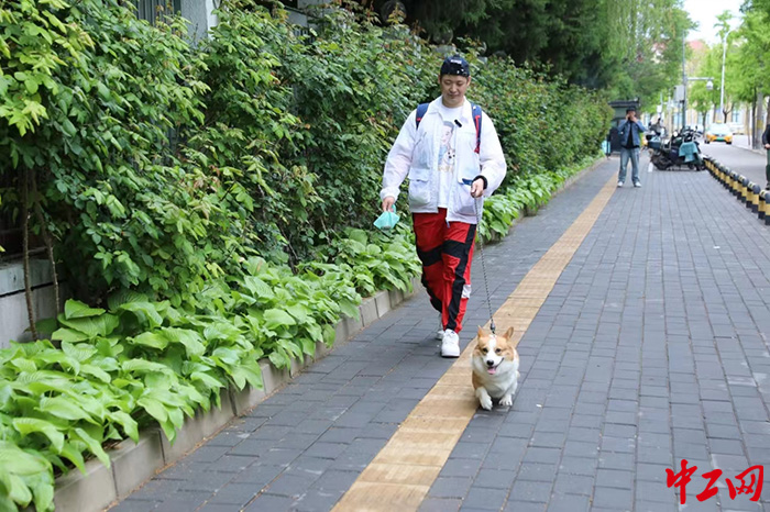 圖片 1 拷貝 圖片 1 拷貝