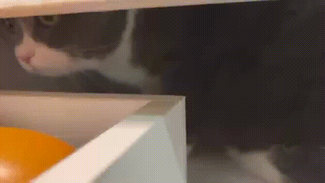 9c98b0264d5252ec7329e07a249119a4 9c98b0264d5252ec7329e07a249119a4