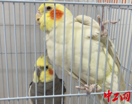 圖片 2 拷貝 圖片 2 拷貝