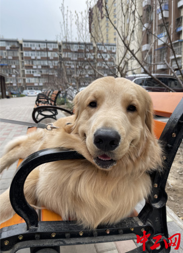 圖片 3 拷貝 圖片 3 拷貝