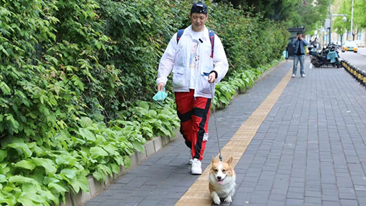 千職百態(tài)丨“夢中情工”！機靈的“鏟屎官”早就這么干了