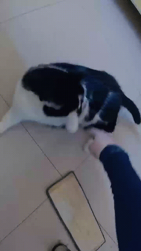 8357afcef561c36fa0239b4071320c9d 拷貝 8357afcef561c36fa0239b4071320c9d 拷貝