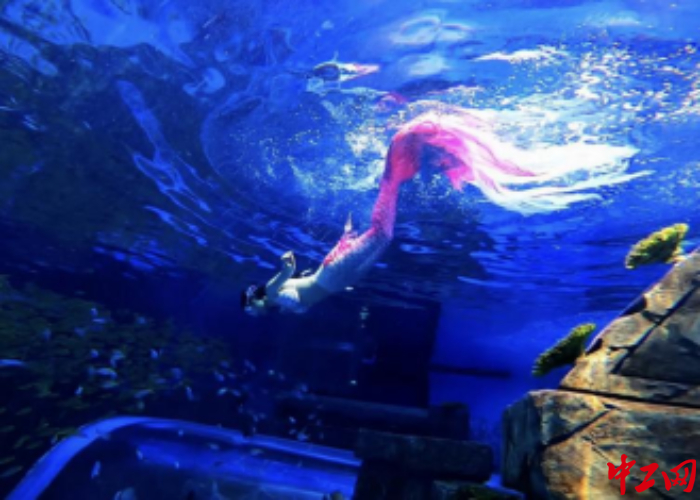 何泇柔在水里暢游。受訪者供圖