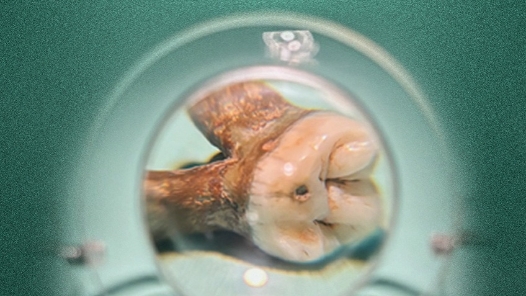 何以中國(guó)·運(yùn)載千秋｜一條大運(yùn)河 半部華夏史