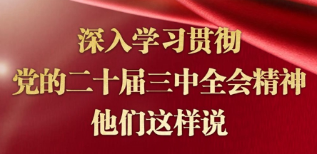 深入學(xué)習(xí)貫徹黨的二十屆三中全會(huì)精神，他們這樣說(shuō)