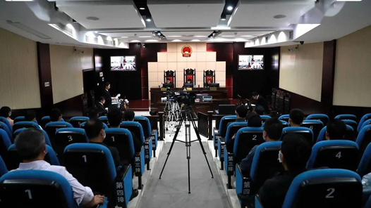 二十屆三中全會(huì)決定解讀｜確保執(zhí)法司法各環(huán)節(jié)全過程在有效制約監(jiān)督下運(yùn)行